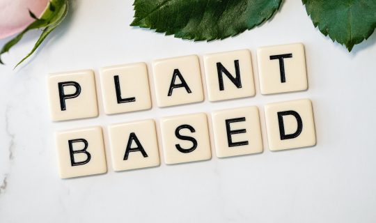 diabetes plant based diet